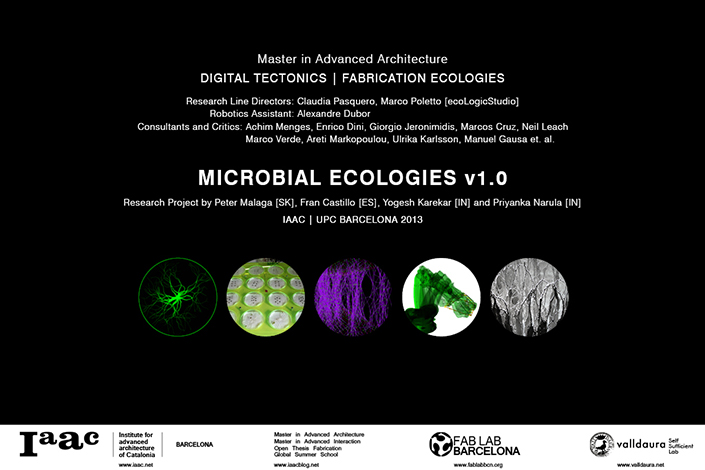 Microbial Ecologies 1.0